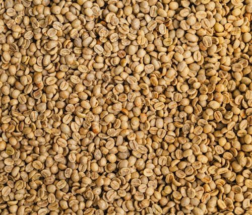 Coffee (1 TON MOQ)